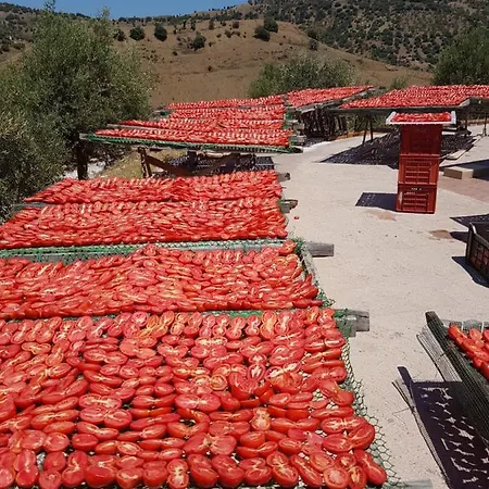 Farm stay Azienda Agrituristica Bergi *