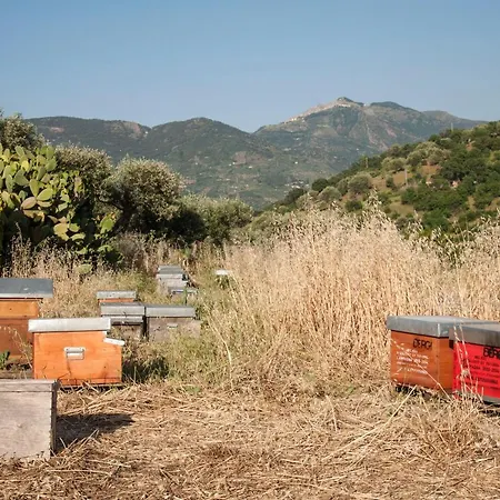 Azienda Agrituristica Bergi Farm stay Castelbuono (Sicily)