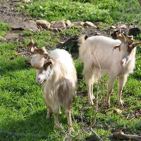 Azienda Agrituristica Bergi