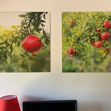 Azienda Agrituristica Bergi مزرعة للإقامة *