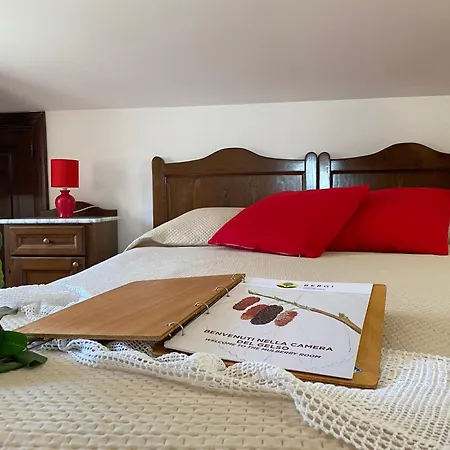 Farm stay Azienda Agrituristica Bergi Castelbuono (Sicily)