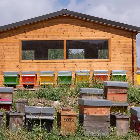 Azienda Agrituristica Bergi كاستلبونو