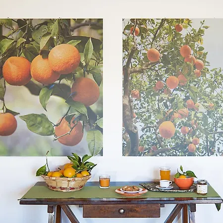 Farma Azienda Agrituristica Bergi