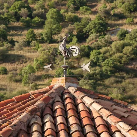 Azienda Agrituristica Bergi Castelbuono (Sicily)