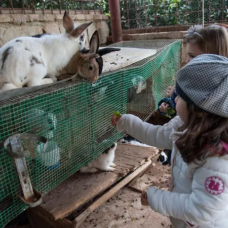 مزرعة للإقامة Azienda Agrituristica Bergi